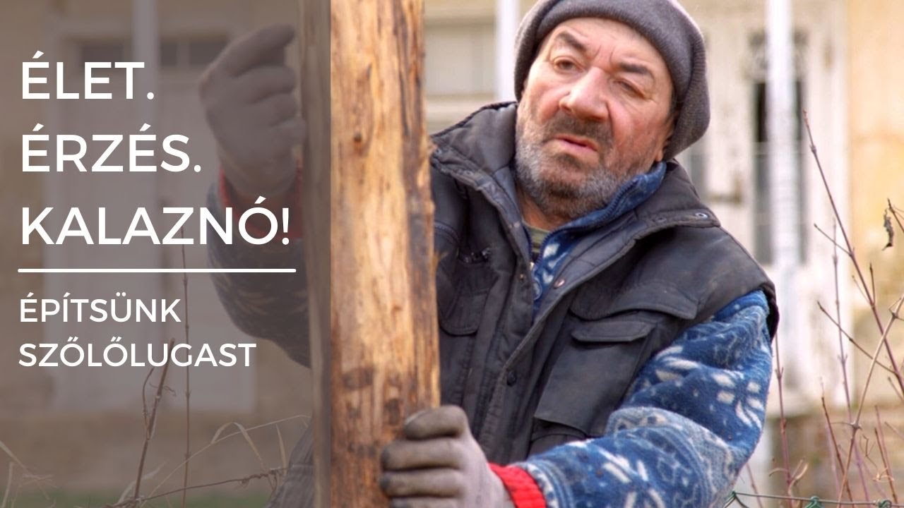 Élet. Érzés. Kalaznó! - Építsünk szőlőlugast!