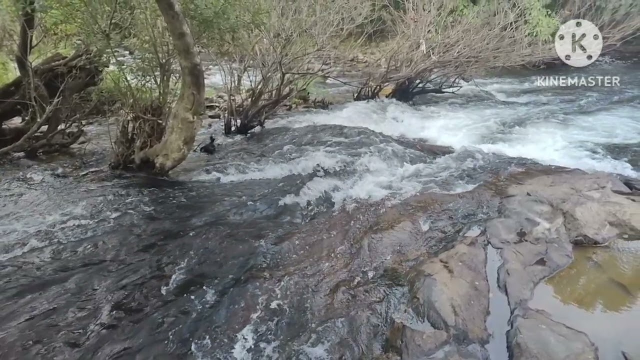 Wayanad | Thirunelli | Wayanad travel | kalindi river | places to see in Wayanad | Kerala tourism