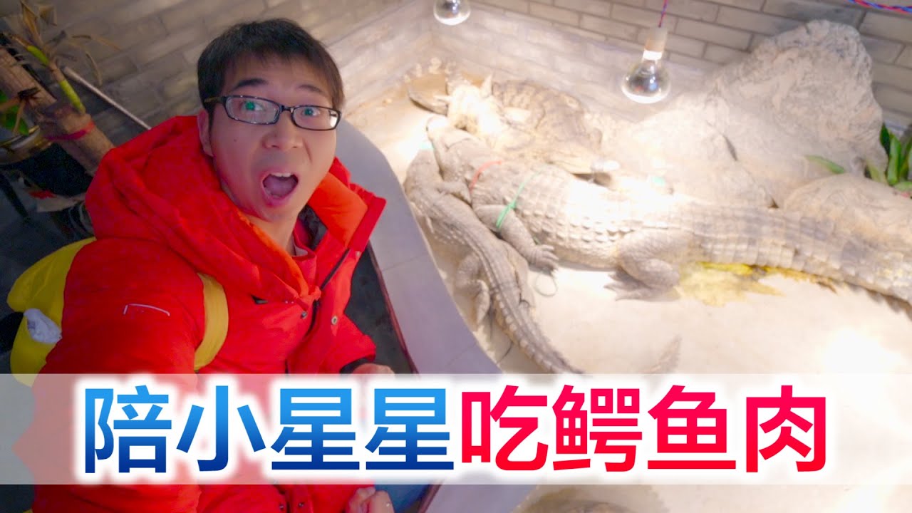 一家三口去吃鳄鱼肉，小星星被鳄鱼吓得不敢上厕所，你们吃过吗？【方伟学长】