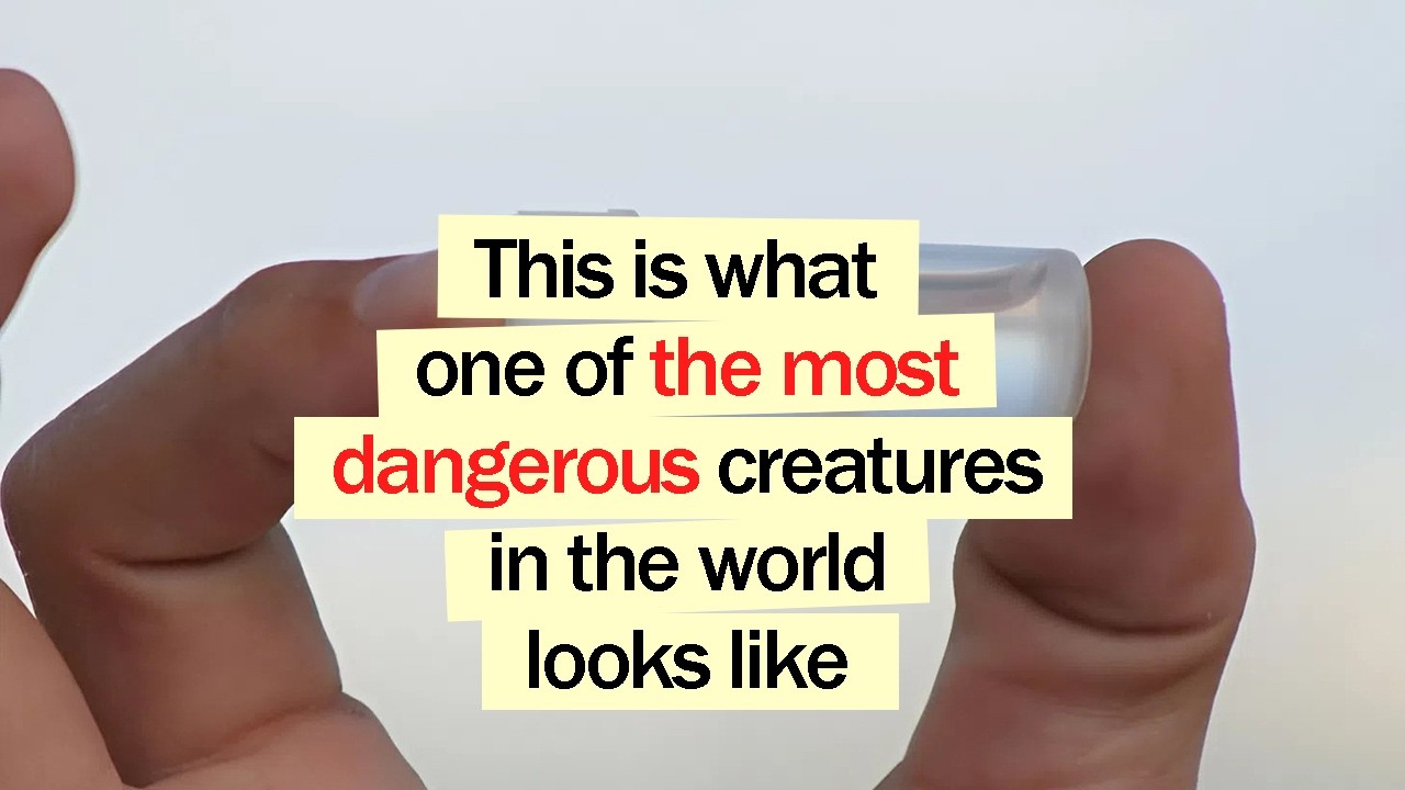 Seeing the True Size of These Objects Changed Everything