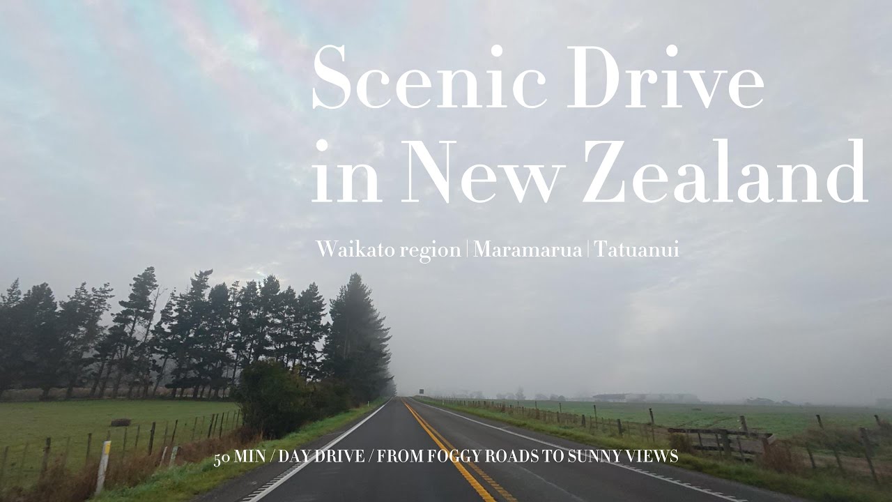 🏞️4K Scenic Drive |🧭New Zealand Maramarua Tatuanui |🌤️SH27 |🌫️Foggy |🎧Soft Music | 新西兰风景自驾 | 轻音乐