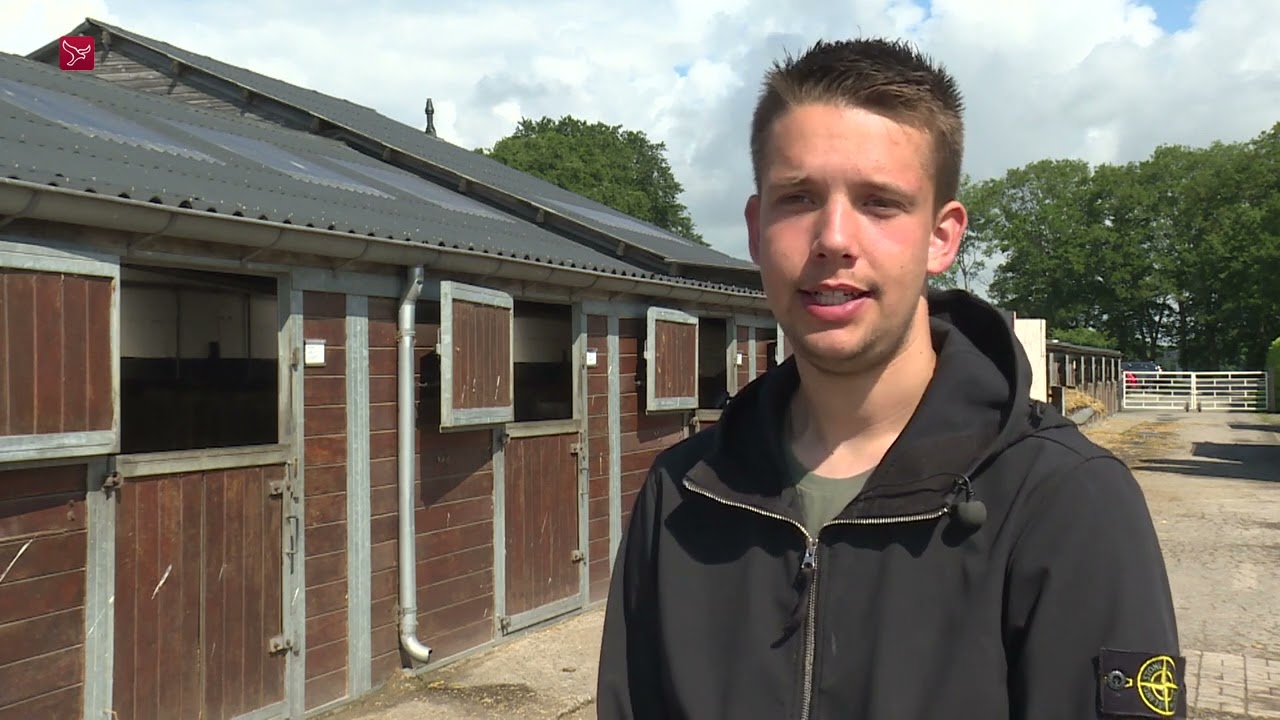 Paard Luuk Schermer is een lot uit de loterij