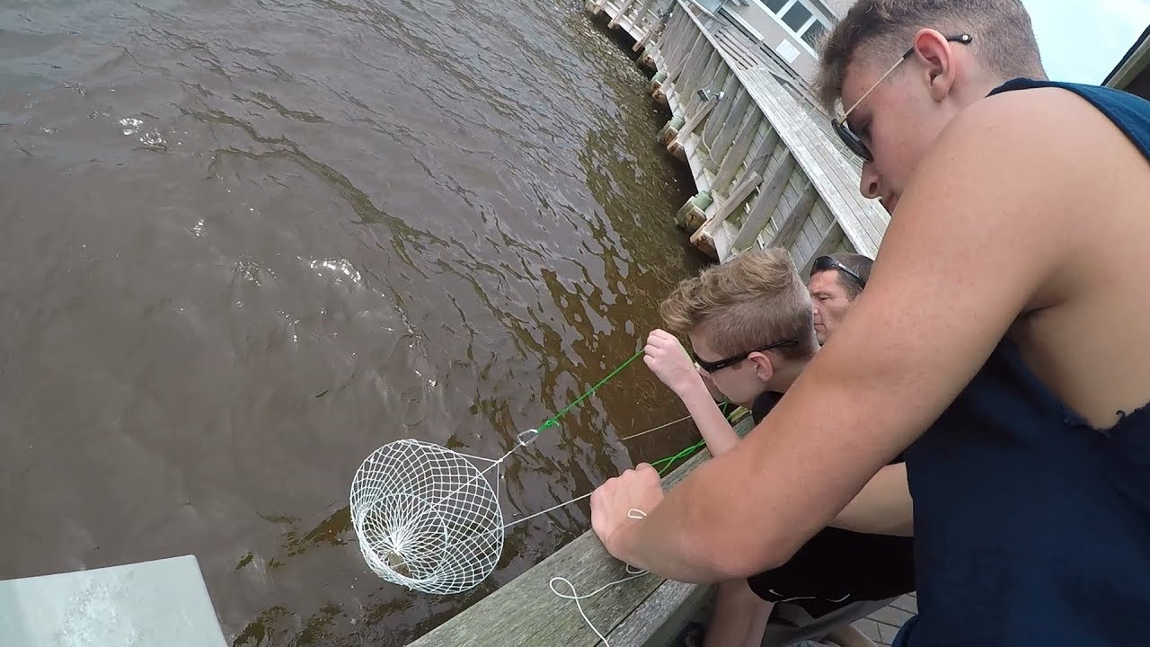 OBX Crabbing
