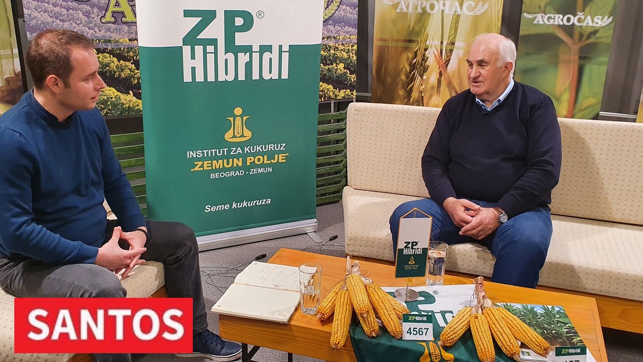 INSTITUT ZA KUKURUZ ZEMUN POLJE PREDSTAVIO DEO HIBRIDA