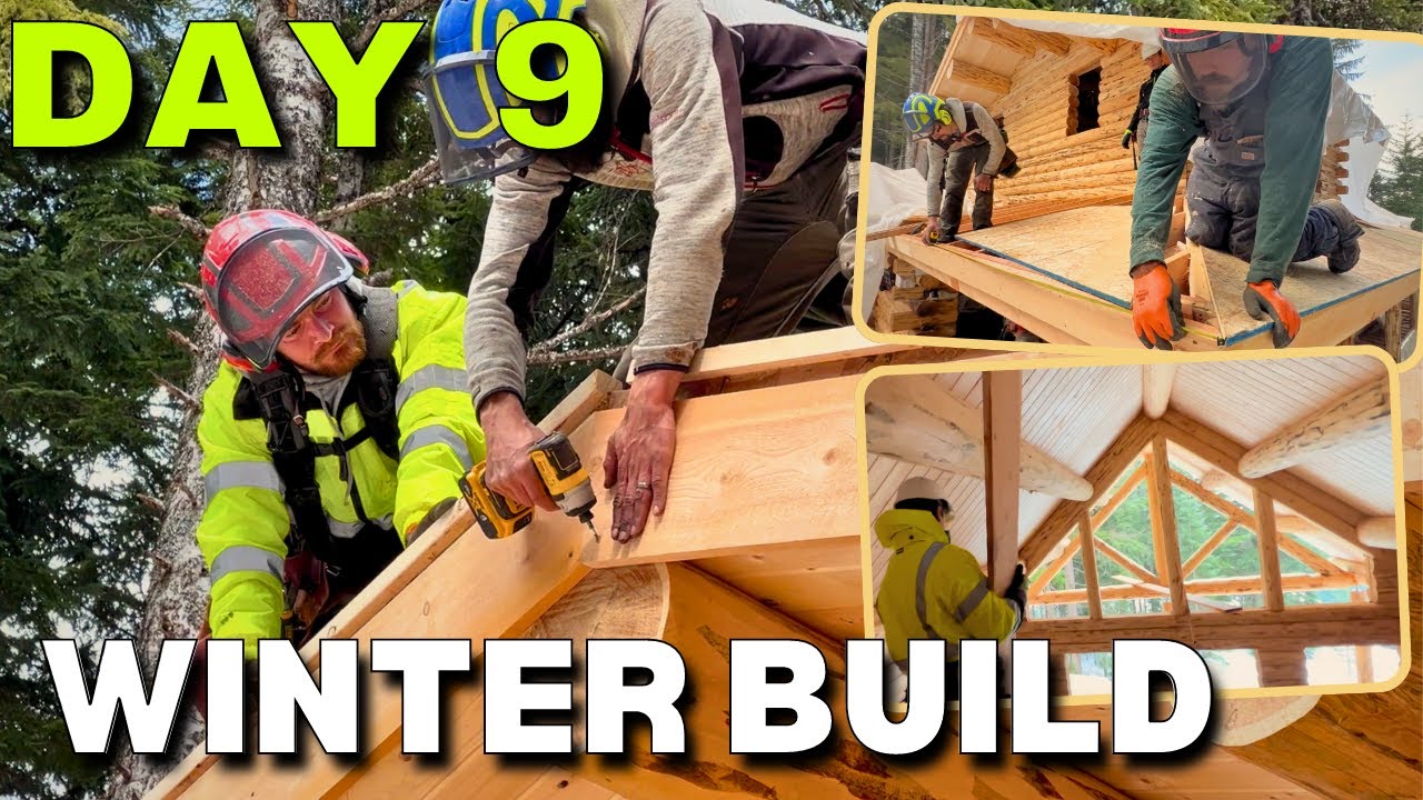 Day 9 | Extreme Log Cabin Winter Build | Facia