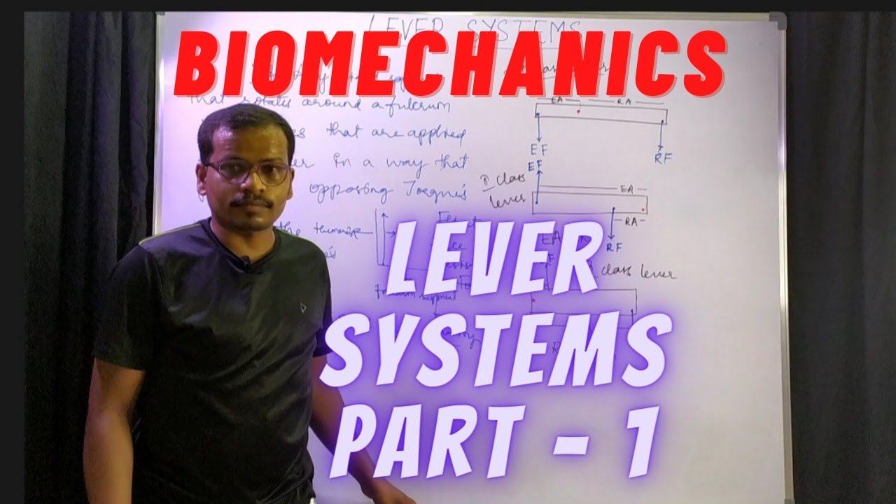 Biomechanics. Lever Systems (or) Classes Of Levers