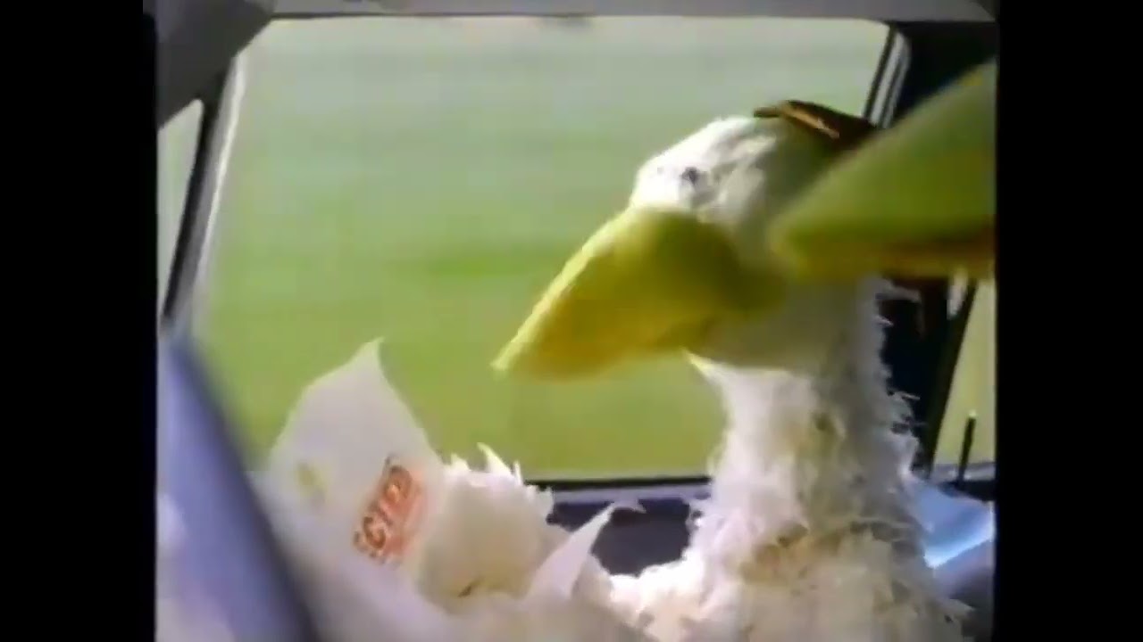 Foster Farms Commercial Spanish (2001)