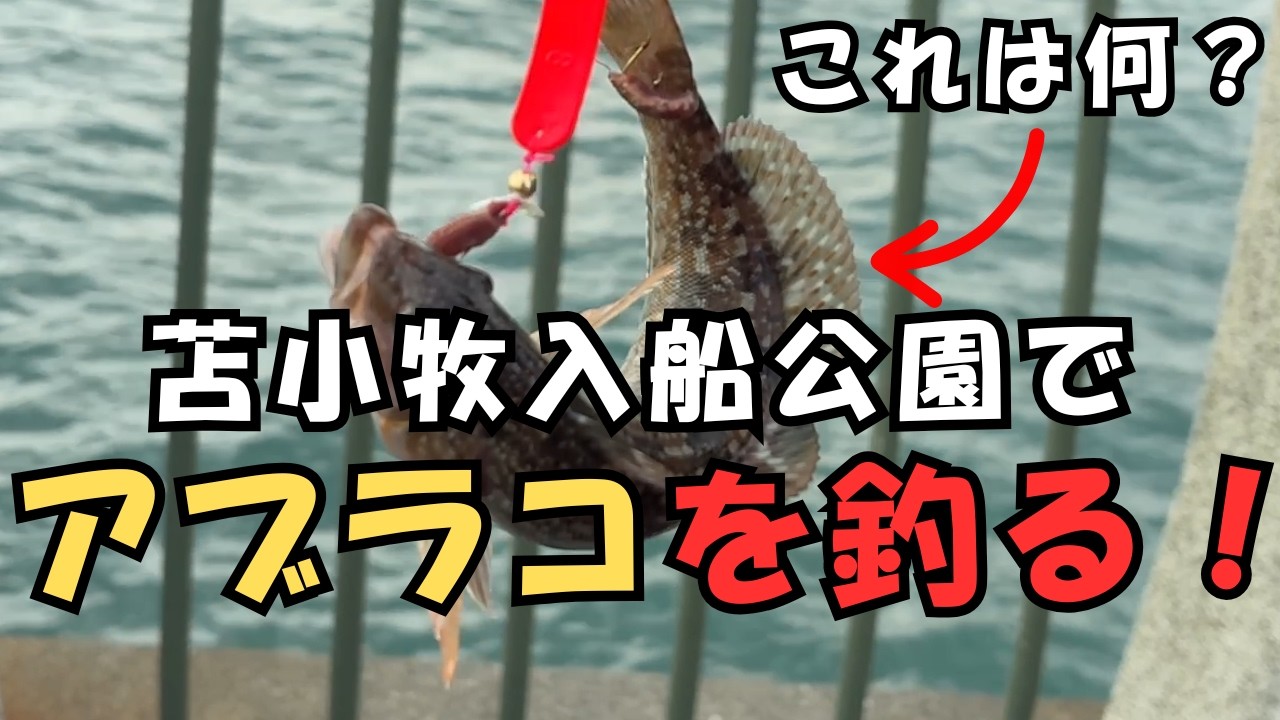 【北海道】【釣り】苫小牧入船公園でアブラコ(アイナメ)を狙うぞ！雪がちらつく寒さに耐えられるか…！？①【セカンドどりーむ さなてぃっく編 シーズン1】#46