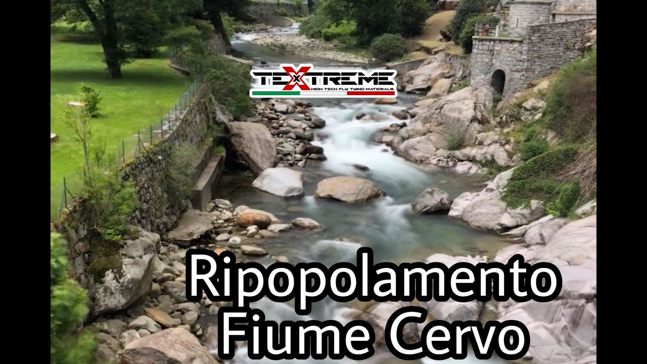 Ripopolamento Riserva Fiume Cervo (BI)