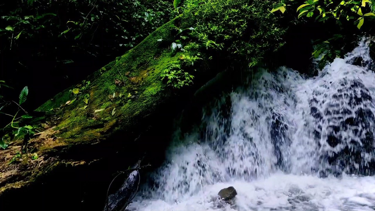 River White Noise Ambience  Pure ASMR Water Flow