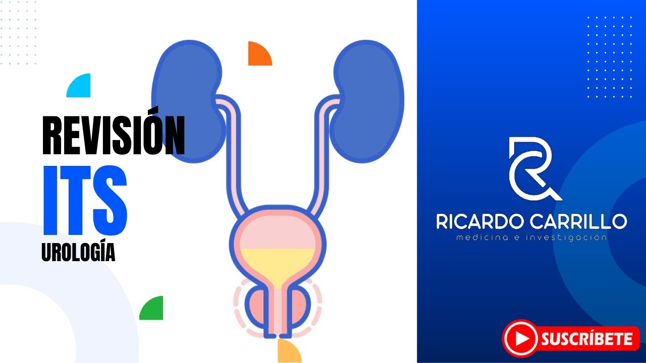 Infecciones urogenitales en hombres l Urología
