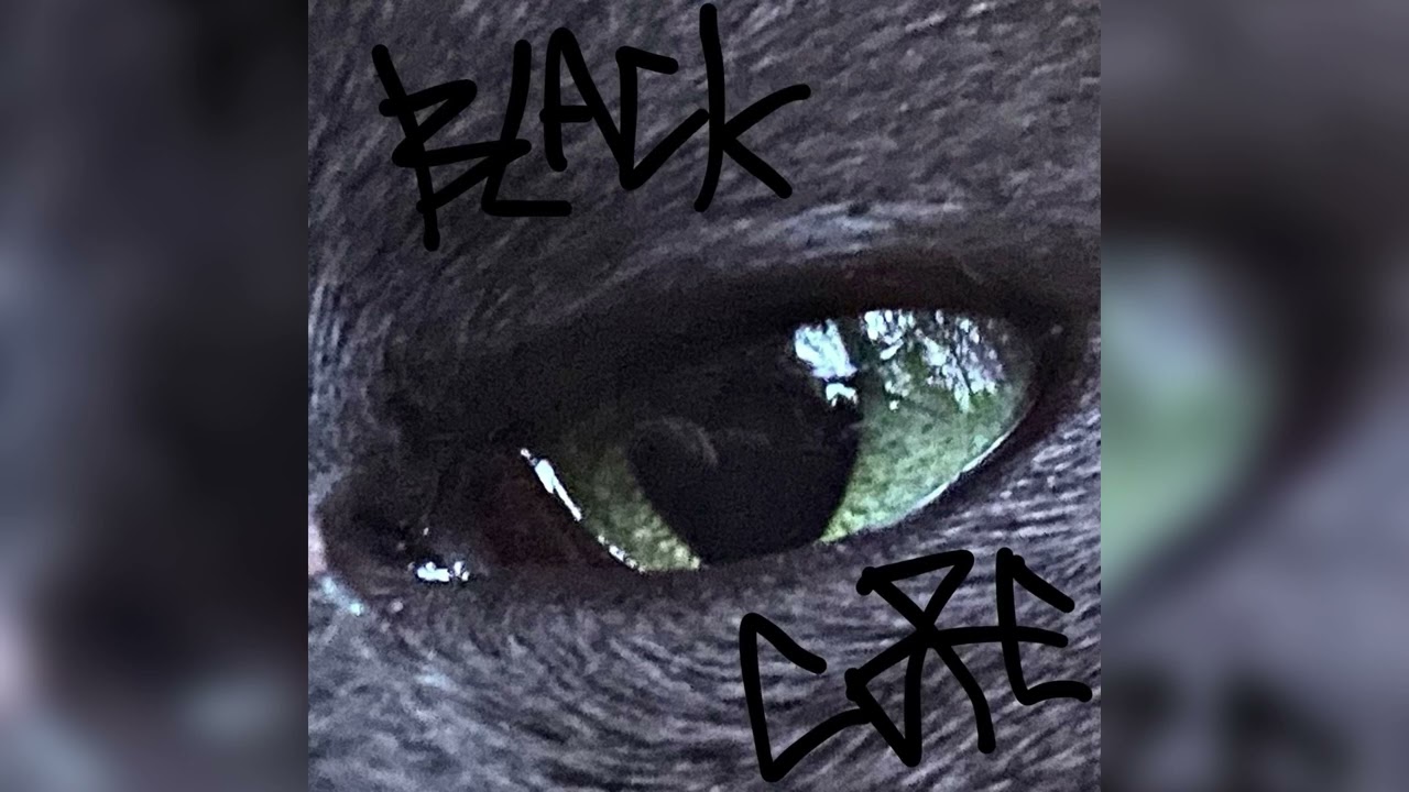 blackcore - murder room