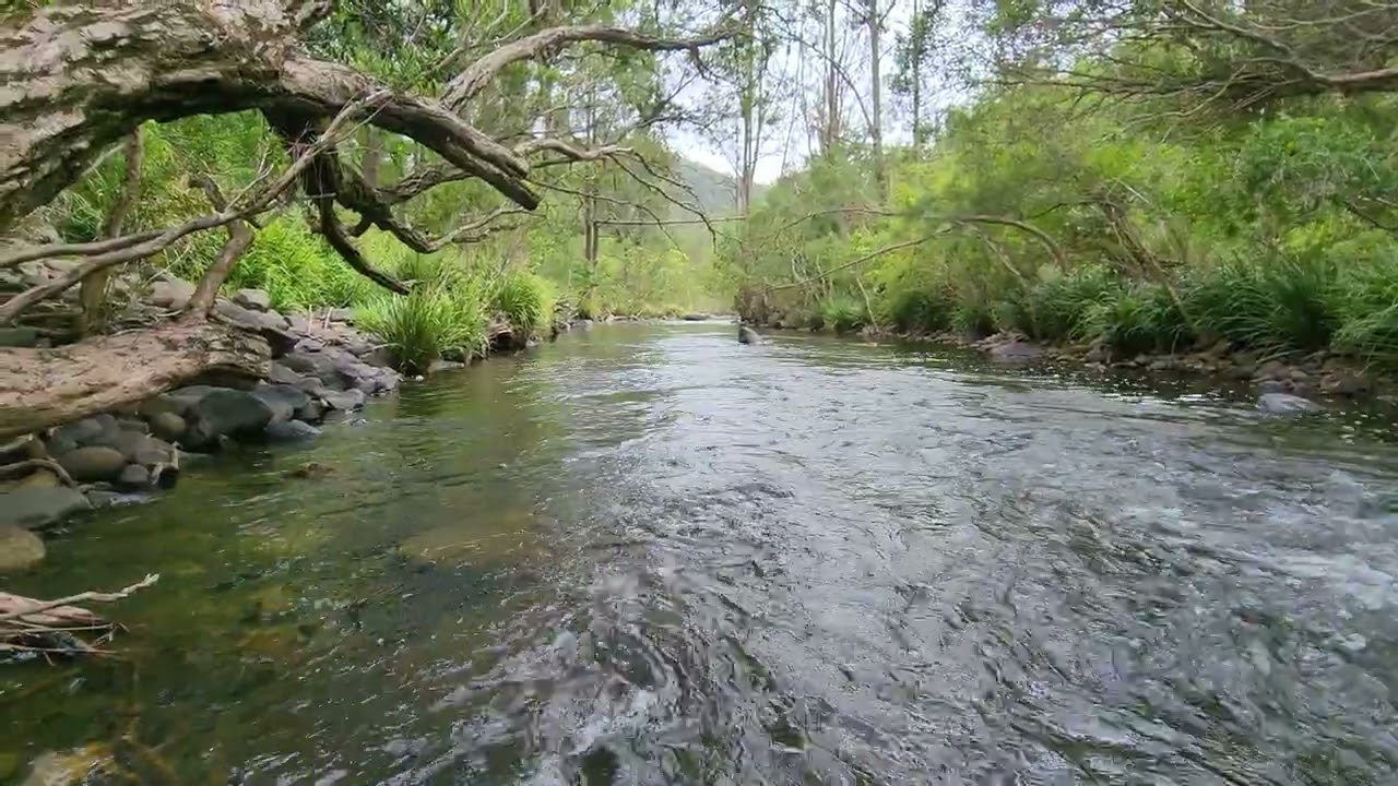 Barrington tops Australia 🇦🇺