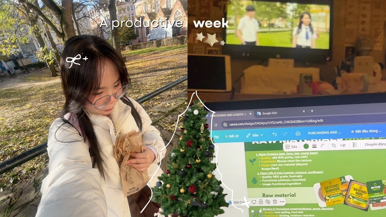 A REALISTIC WEEK studying abroad in belgium: những ngày stress, chạy deadline, thuyết trình,...ᯓ★