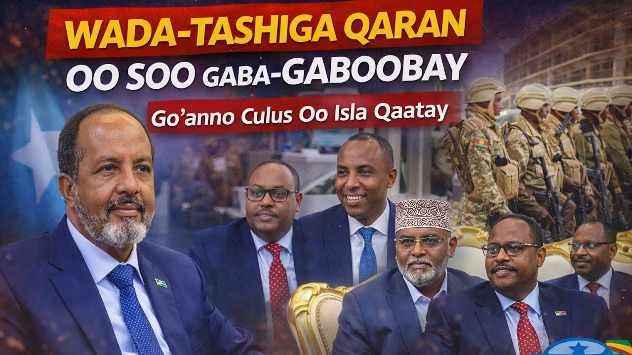 Maxaa Ka Soo Bixi Kara Shirka Federaalka & Golaha Mustaqbalka Soomaaliyeed?