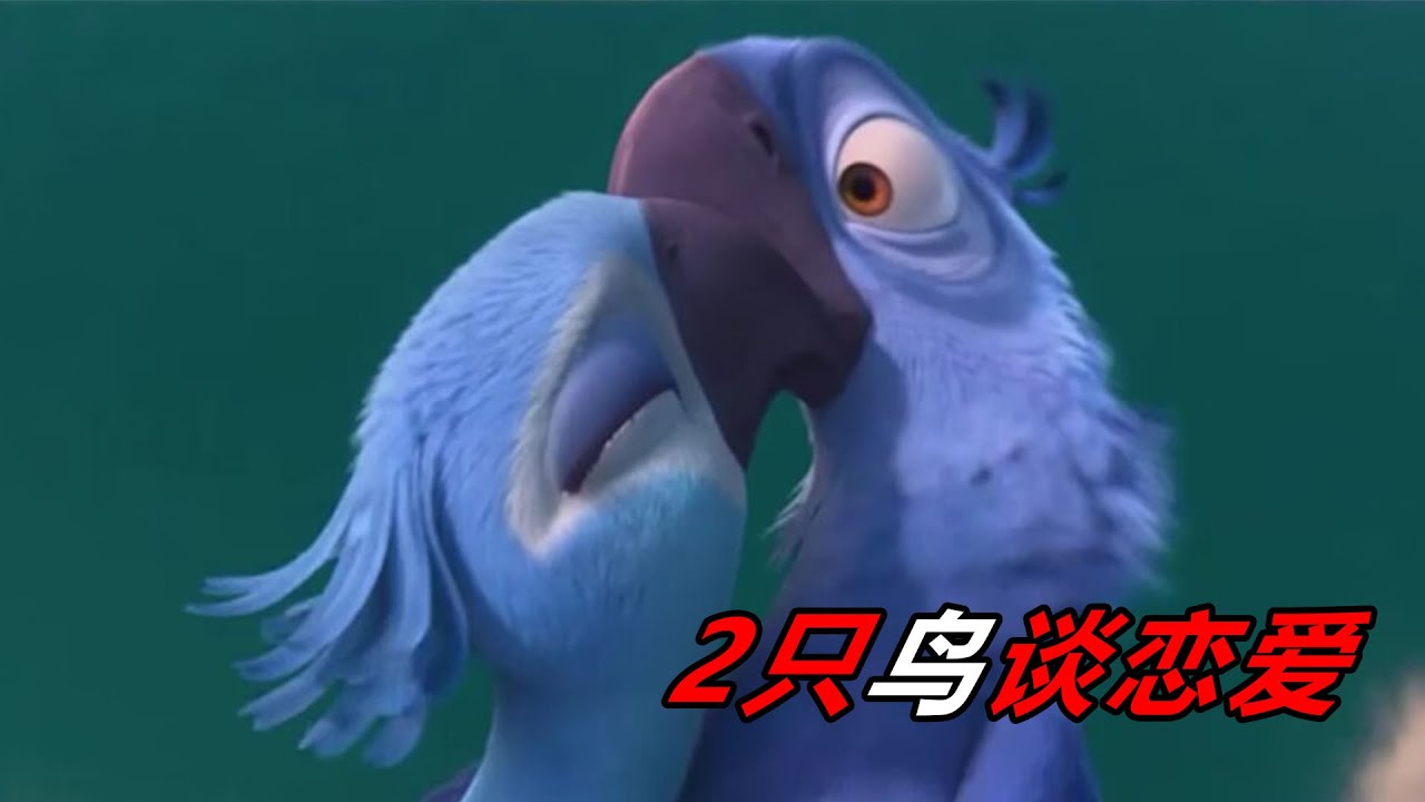 这绝对是最聪明的鹦鹉！虽然不会飞但却比你还会物理，最终抱得美人归！动画电影《里约大冒险》