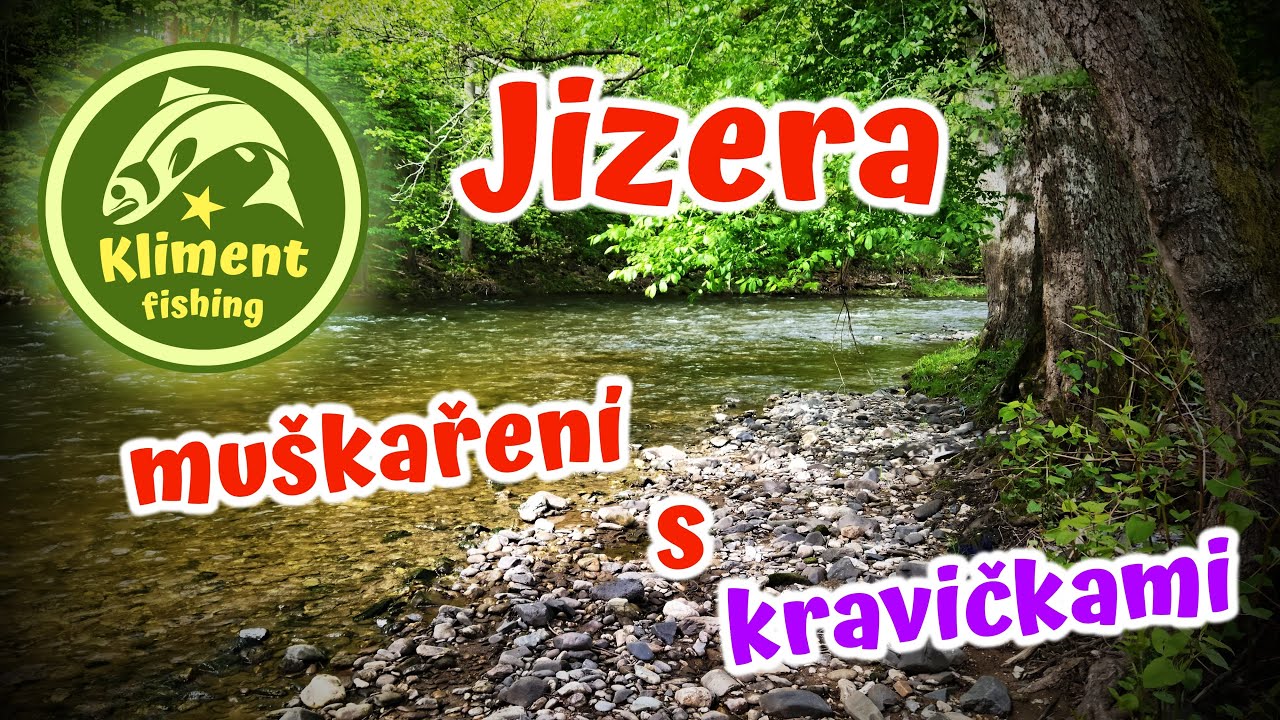 S muškařským prutem a kravkami na Jizeře.