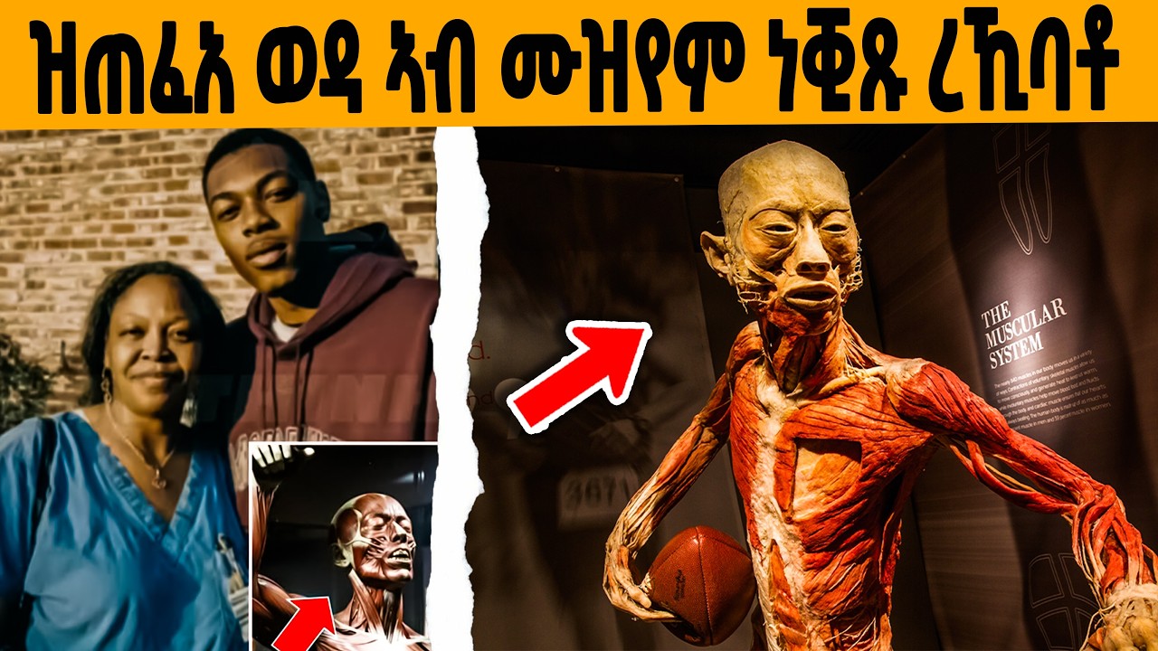 🔥 ዝጠፍአ ወዳ ድሕሪ 25 ኣብ ሙዝየም ረኺባቶ😭