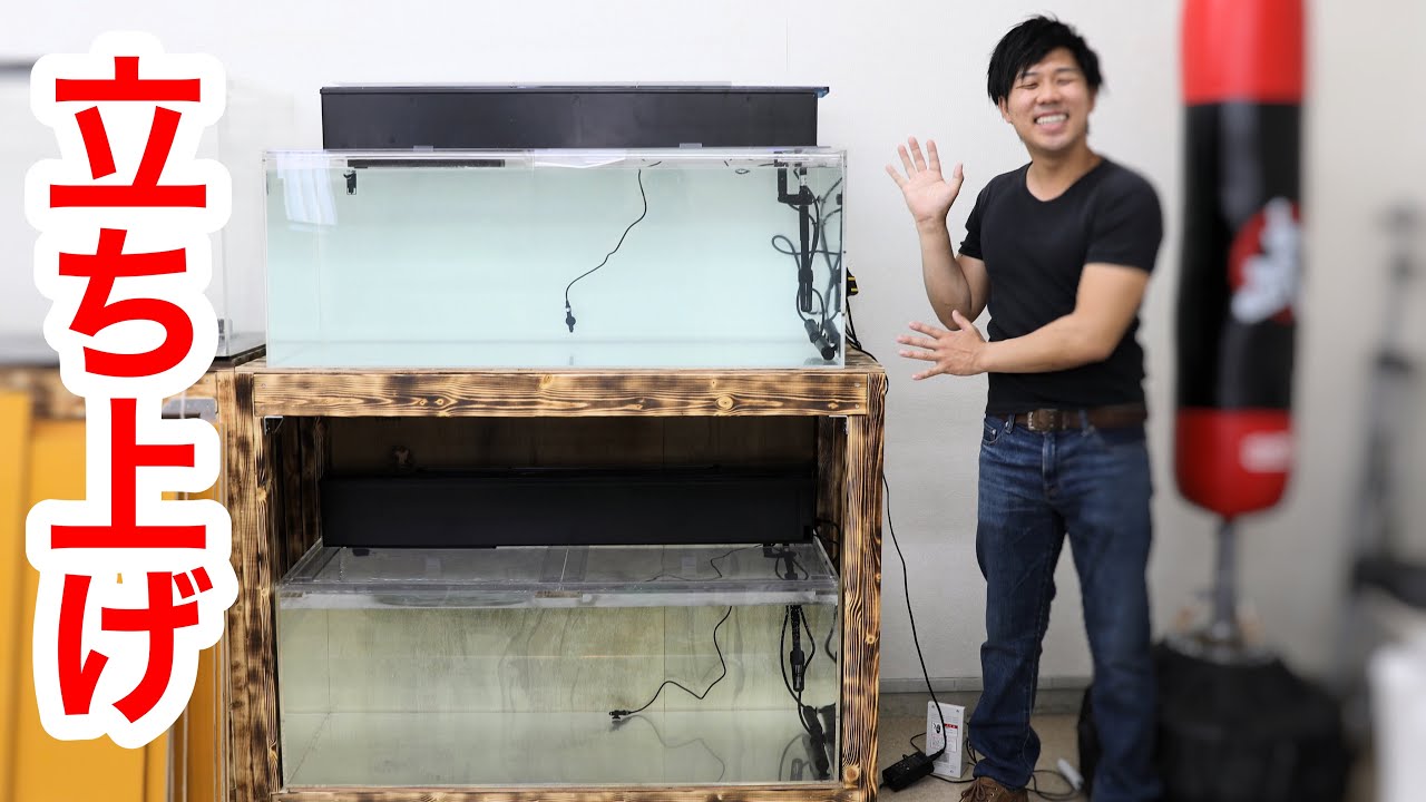 １２０ｃｍの水槽２本を１から立ち上げました