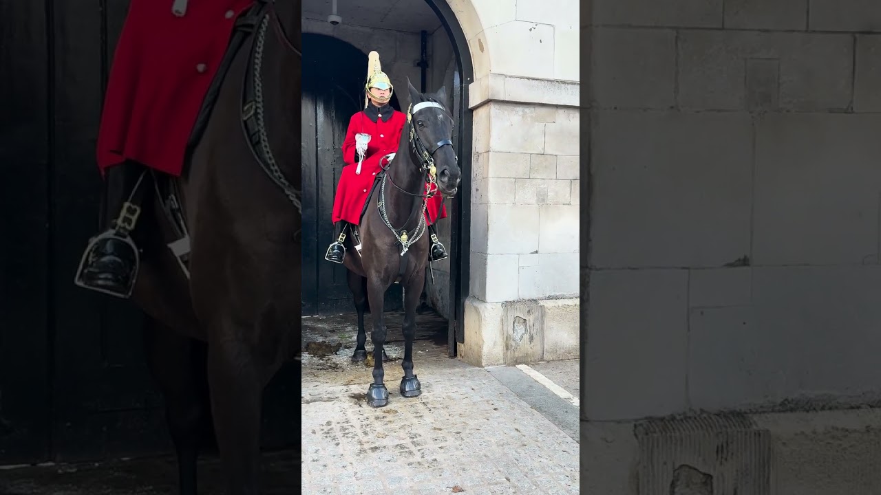 Pure Delight Beside Royal Tradition 