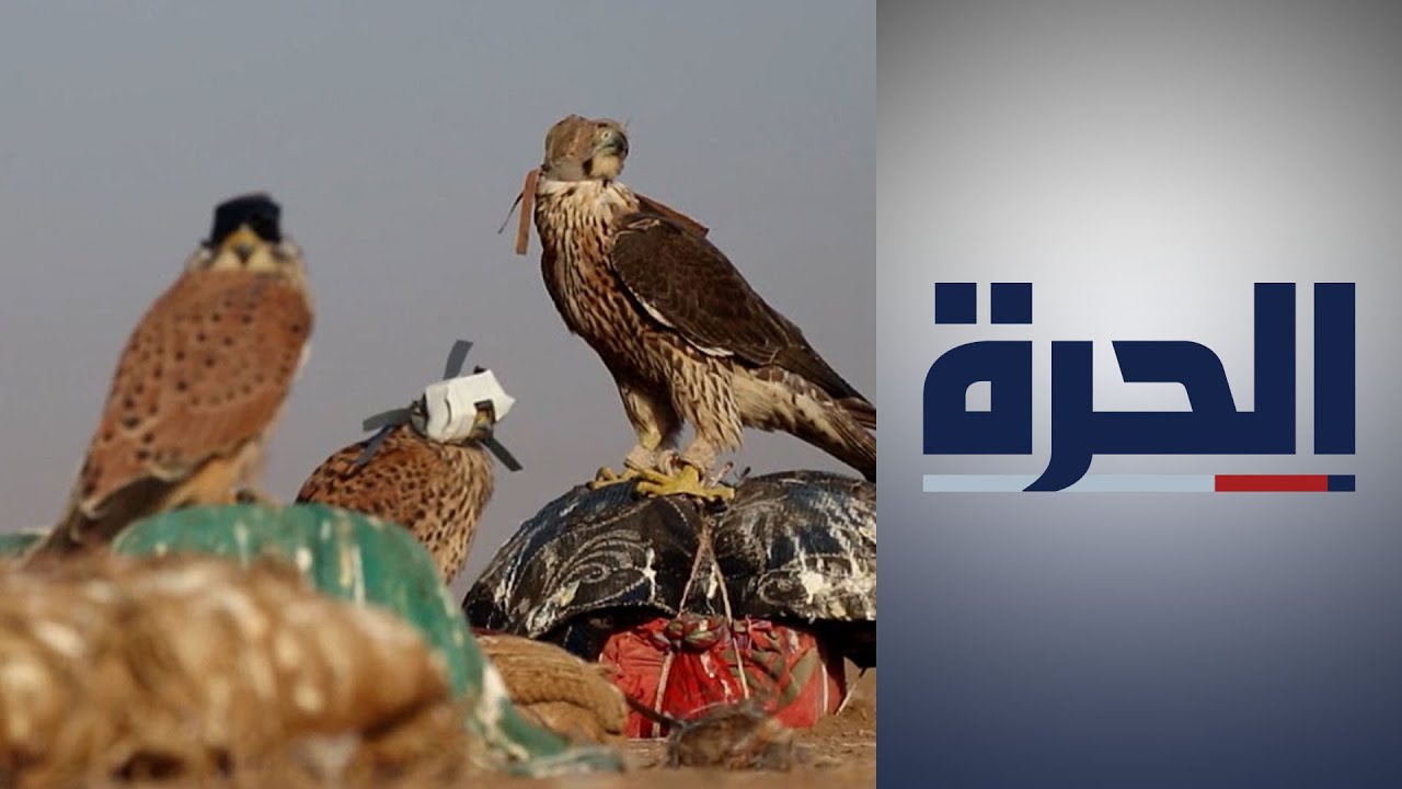 صيد الطيور المهاجرة  في سوريا