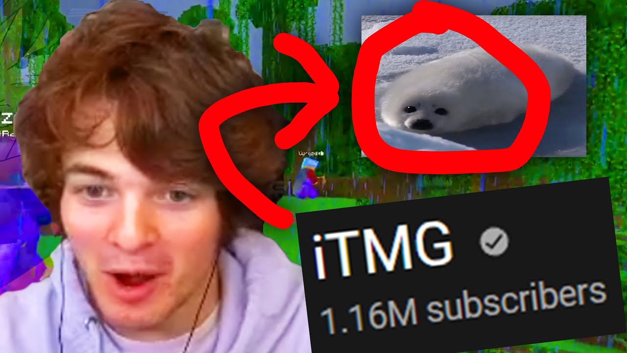 Rare iTMG Sightings on Tubbo's Stream