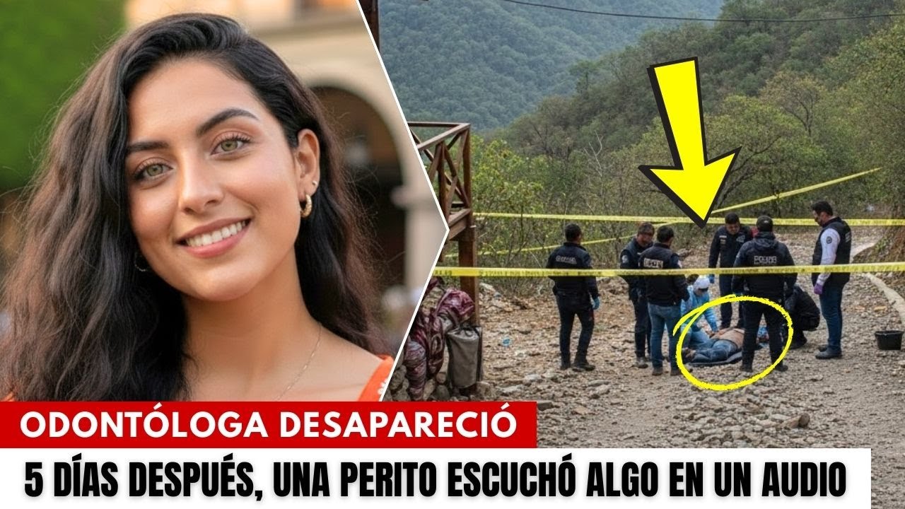 Odontóloga desapareció durmiendo en su casa. 5 días después, una perito escuchó algo en un audio