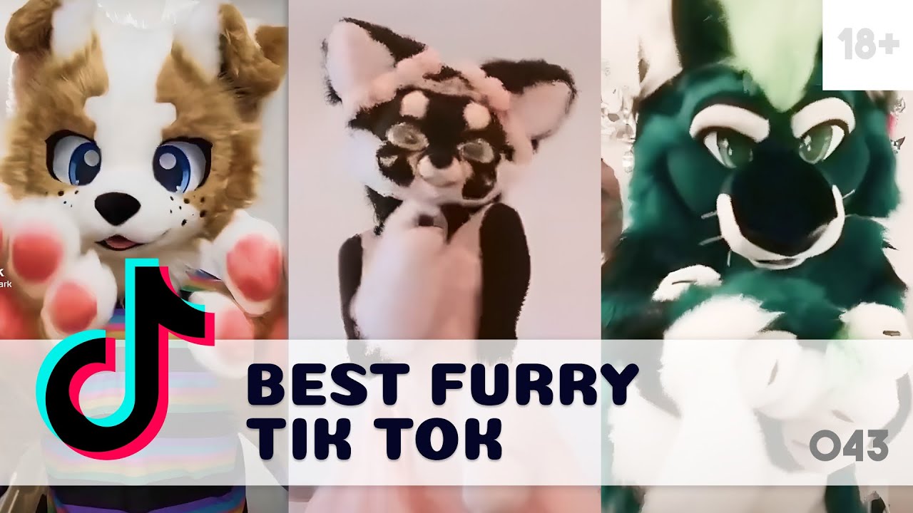 Furry Tik Toks compilation [✨ Ep 043✨]