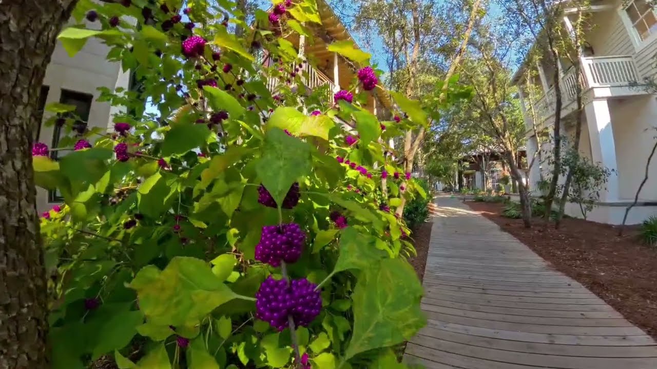 Rosemary Beach Travel Guide. Florida's Secret Paradise.