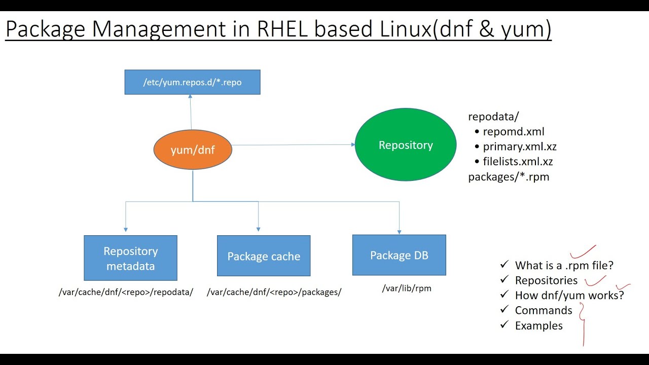 dnf и yum — управление пакетами в Linux на базе RHEL.