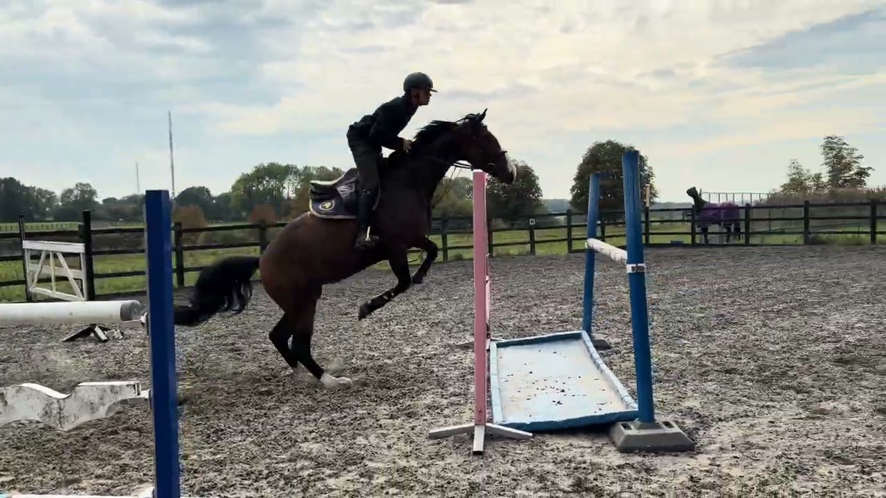 🎤Amy Winehouse🎤 jumping video 