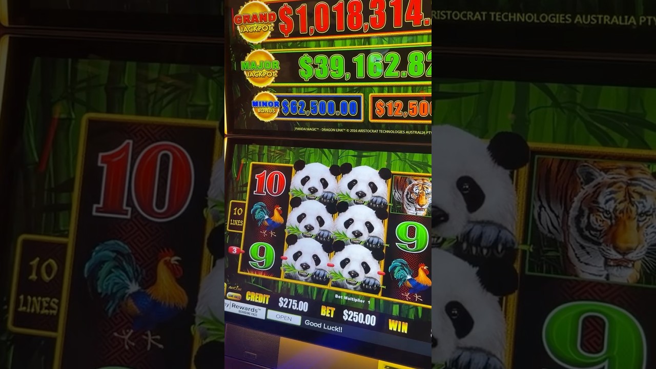 $250 Spins = MASSIVE Line Pay 💰