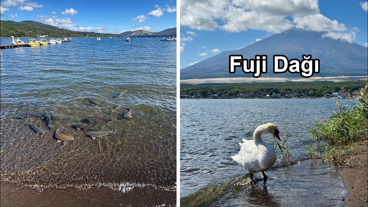 Gece Otobüsüyle Gittiğimiz Japonya'nın İkonik Yeri Fuji Dağı, Yamanaka Gölü ve Gotemba Şehri