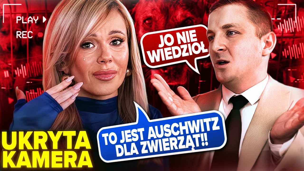 WIELKA AFERA SCHRONISKOWA - WSTRZĄSAJĄCE DOWODY *UKRYTA KAMERA* (STANOWSKI, DODA, POLSAT NEWS, WÓJT)