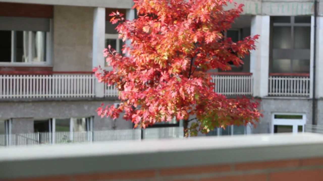 Questa è La Traccia Calcinate (Bg)