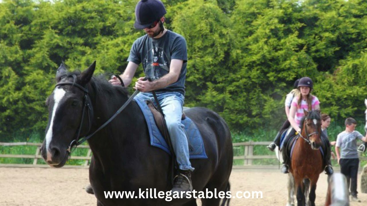 Killegar Stables Wicklow