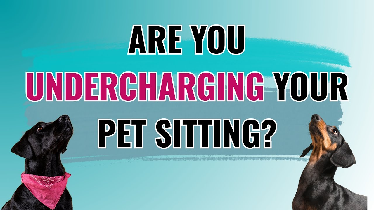 EPISODE 26: This Could Be Costing You Revenue In Your Pet Sitting Business | Conscious Pet Sitter