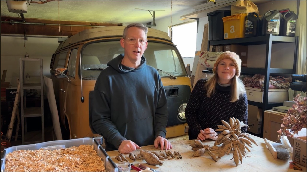 The Trick to Dividing Dahlia Garden Tubers - Easy Way To Multiply Your Flower Garden Before Planting