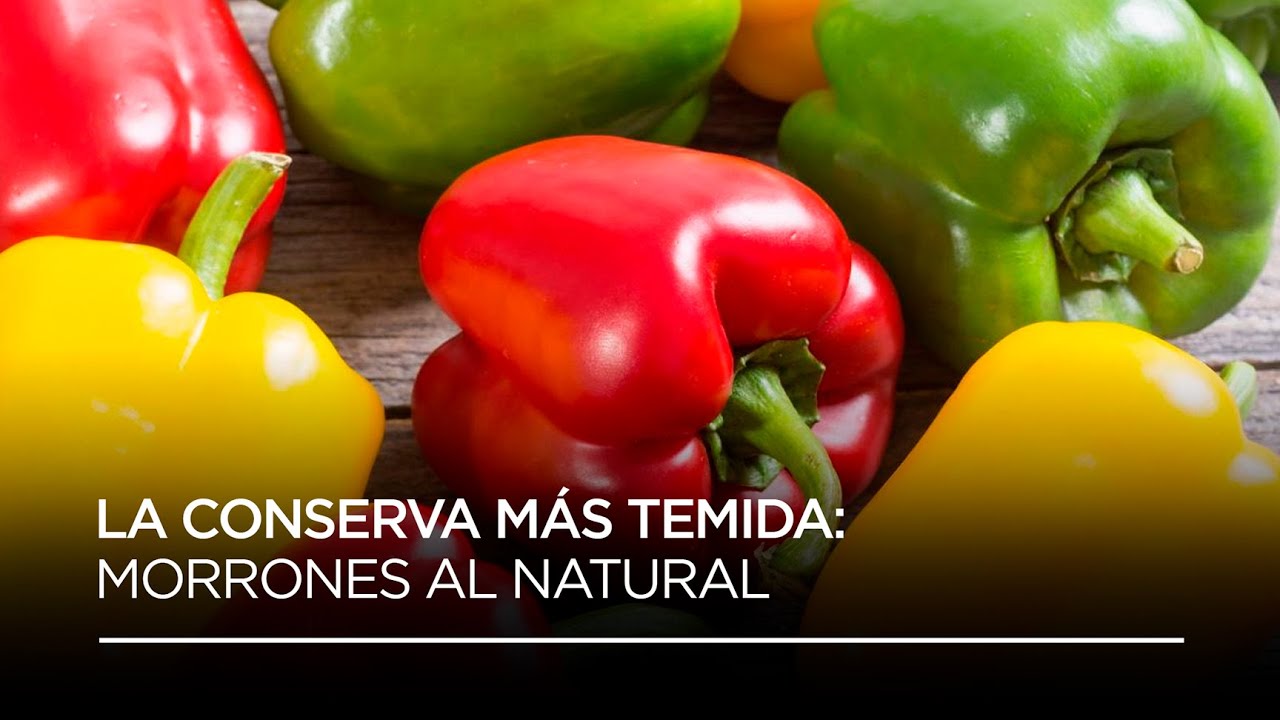 CÓMO HACER MORRONES EN CONSERVA