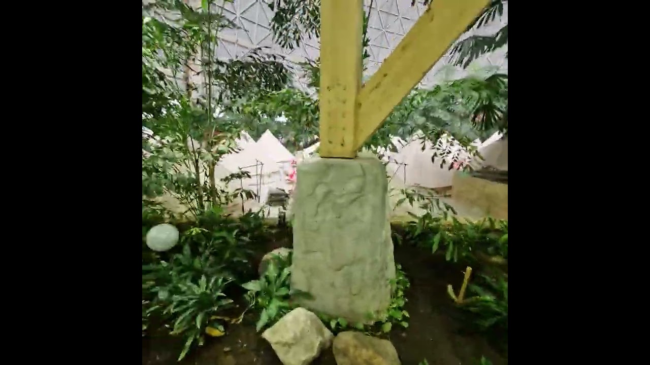 Niềm vui hè 2025!