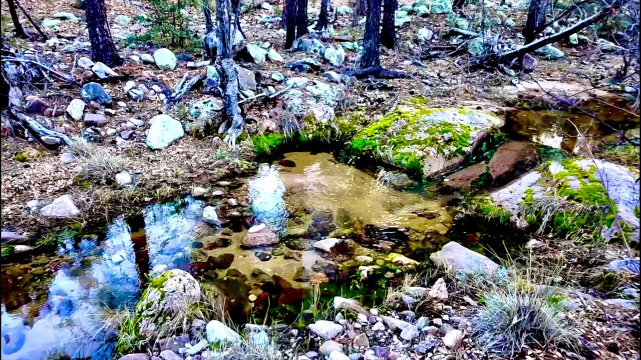 LIVE - Giving It One More Try…