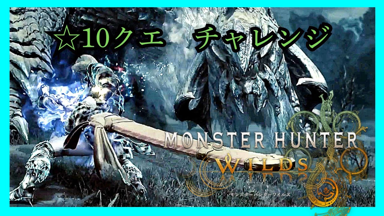 【モンハンワイルズ】　参加型
