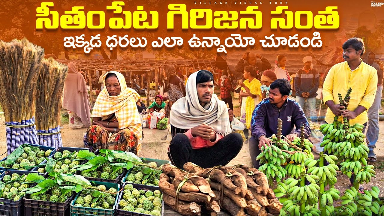 సీతంపేట గిరిజన సంతలో బేరాలు ఎలా ఉన్నాయో చూడండి || seethampeta tribal market