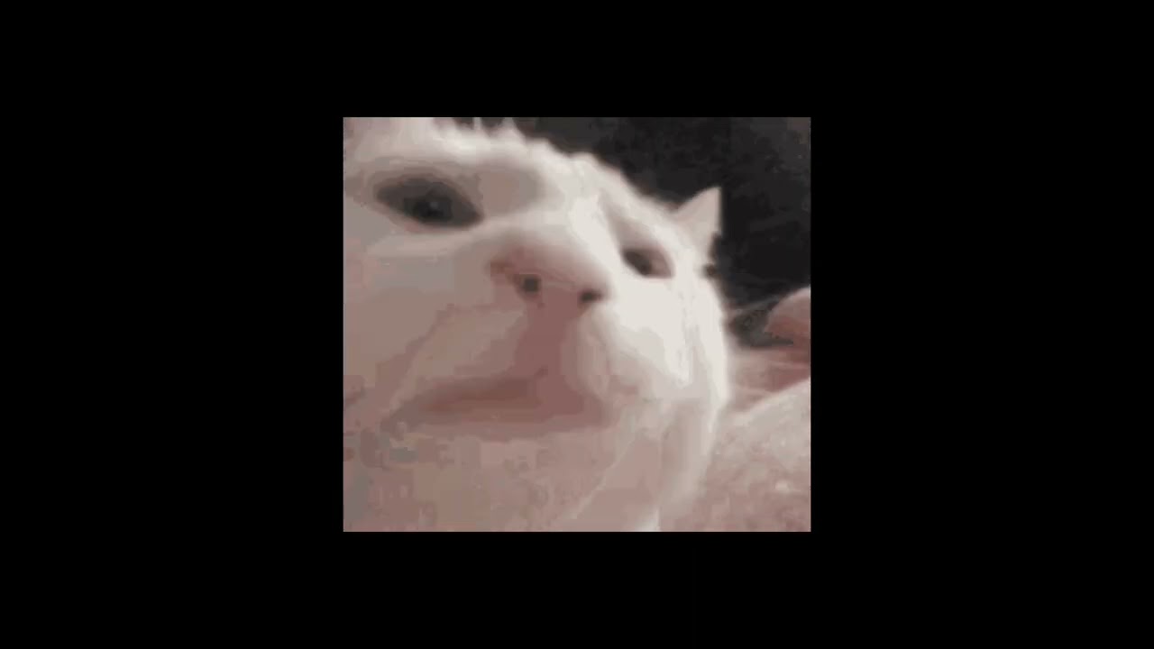 tiktok edit audios 💍