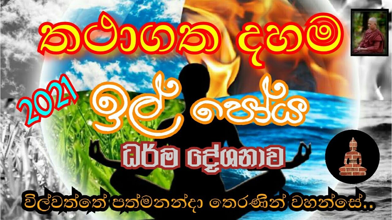 wilwaththe pathma theraniyo
