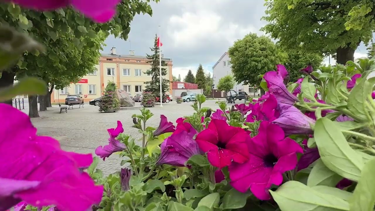 Dni Tuszyna   2025   spot FullHD