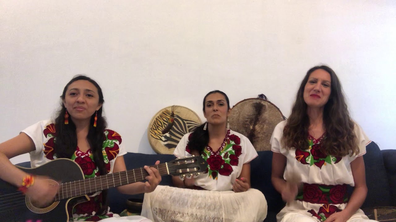 La semilla de cacao Musica Medicina