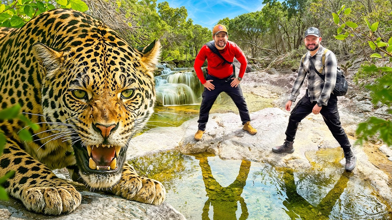Buscando BEBEDEROS NATURALES en la SIERRA de SINALOA 🐆 ¿Hay JAGUAR?