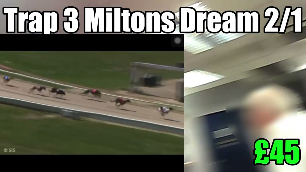 Confused At Greyhound Results &pound;&pound;