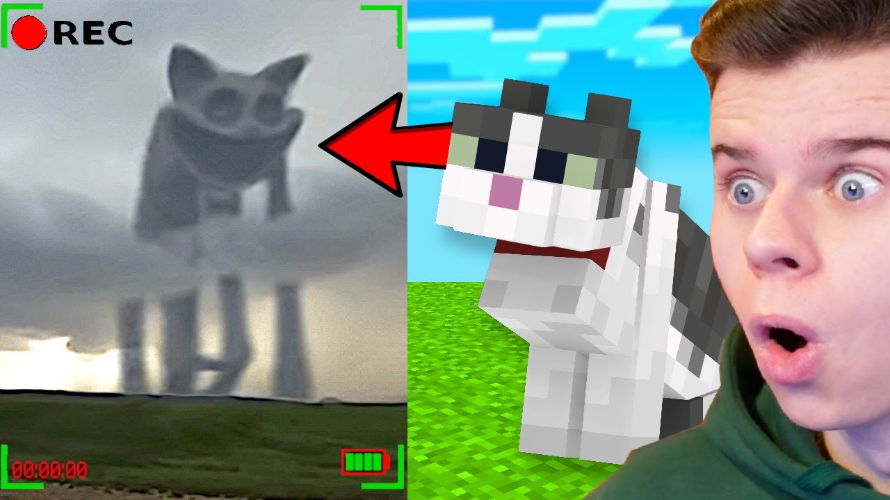 МОБЫ, СНЯТЫЕ НА КАМЕРУ В РЕАЛЬНОЙ ЖИЗНИ из Minecraft!